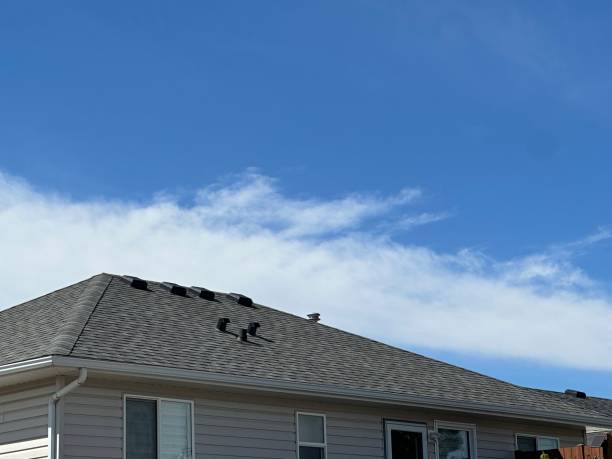 Best Tile Roofing Installation  in North Les, AK